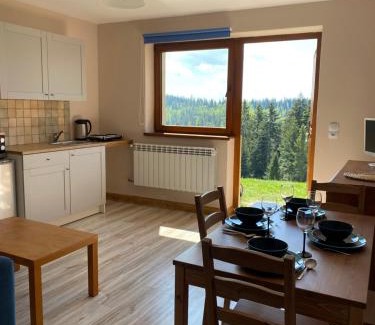 Nowy Targ Apartment | Apartament w górach Gorce