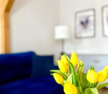 Klodzko Miasto Apartment | Apartament w samym sercu miasta z DARMOWYM PARKINGIEM Pod Złotym Lwem -hotel VI