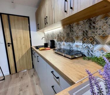 Radom Apartment | Apartament w sercu miasta