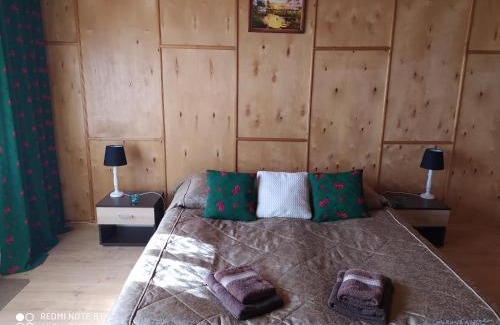 Czarna Gora Apartment | Apartament Widok