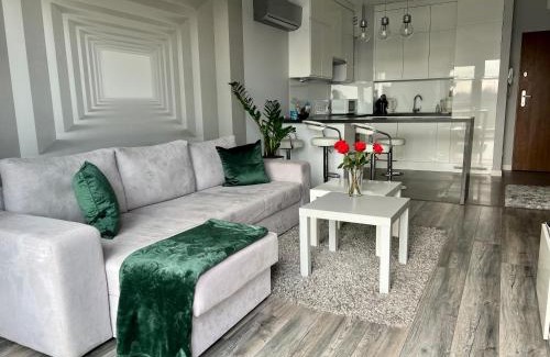 Torun Apartment | Apartament Winnica