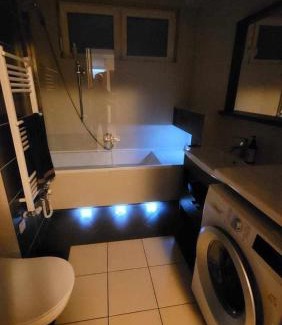Dziaki Lesne Apartment | Apartament Wolności - 85 metrowe mieszkanie na wyłączność