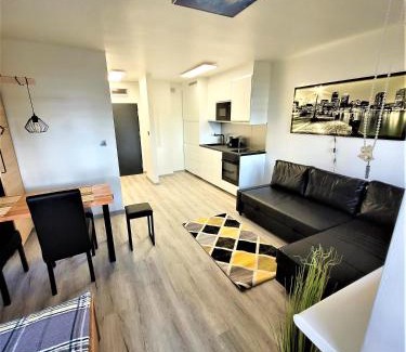 Gliwice Apartment | Apartament z balkonem Gliwice Mewy, klimatyzacja