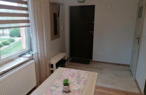 Bodzentyn Apartment | Apartament z tarasem