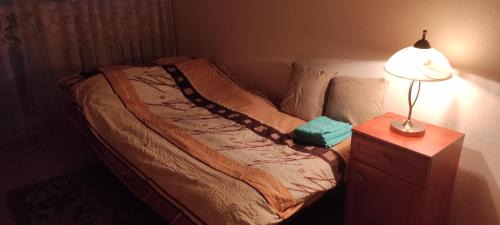 Zabkowice Slaskie Apartment | Apartament z widokiem na góry