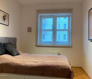 Torun Apartment | Apartament Zieleniec