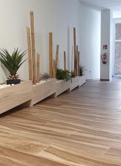 O Milladoiro Apartment | Apartamentos Antares 2