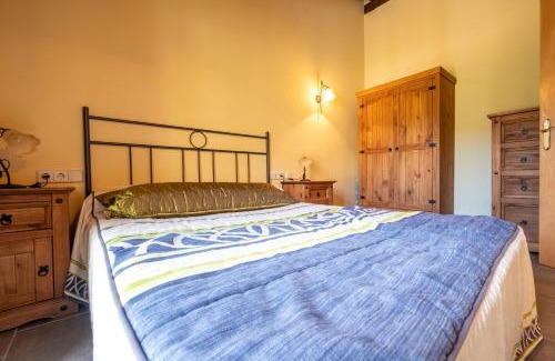 Alins Apartment | Apartamentos Farrai llova