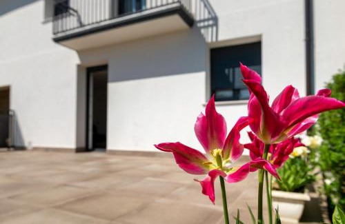 Iturmendi Apartment | Apartamentos Herri Ondo REFUGIO CLIMATICO