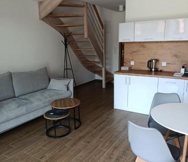 Pustkowo Apartment | Apartamenty Allan