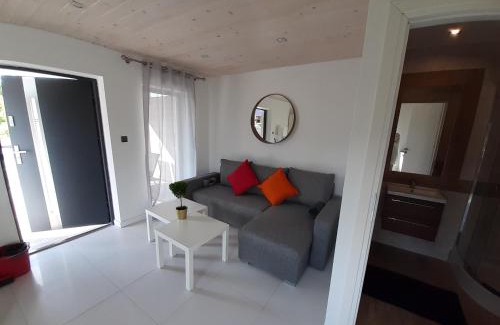 Okuninka Apartment | Apartamenty Borówka