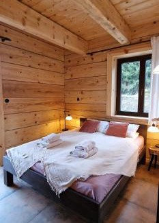 Wetlina Apartment | Apartamenty komu gloria