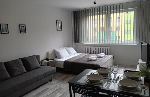 Oswiecim Apartment | Apartamenty Oświęcim klimatyzacja air-conditioned