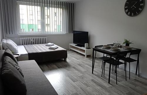 Oswiecim Apartment | Apartamenty Oświęcim klimatyzacja air-conditioned
