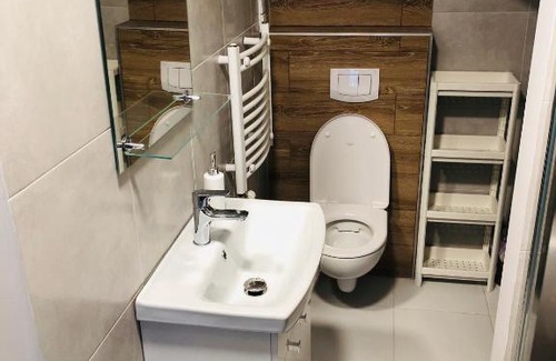 Witow Apartment | Apartamenty u Krysi