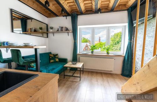 Chorzow Apartment | Apartamenty Yeti & Wilka w Centrum Chorzowa: Wilk