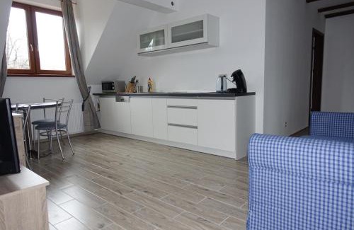 Stronie Slaskie Apartment | Apartamenty Zielony Dom