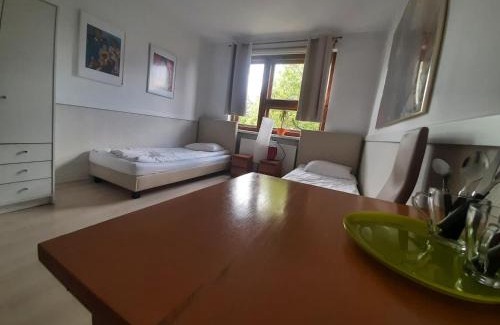 Busko-Zdroj Apartment | APARTAMENTY ZIELONY KAMELEON