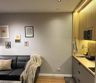 Matiçan Apartment | Aparte - Tophane 2