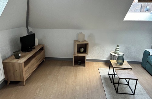 Laval Condo | Apartee - charming T2 in Laval - 10 minutes walk from downtown