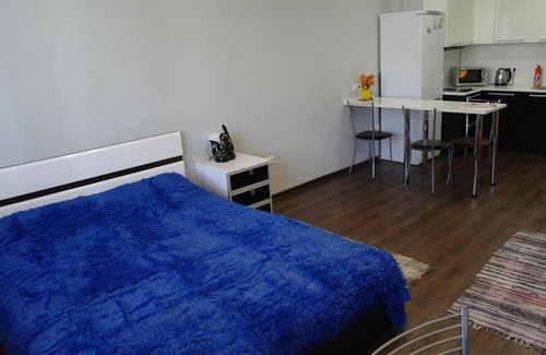 Irkutsk Apartment | ApartLux on Dekabrskikh Sobytiy
