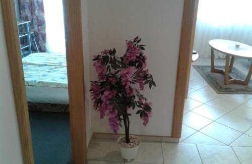 Vrchlabi Apartment | Apartmá Ježková
