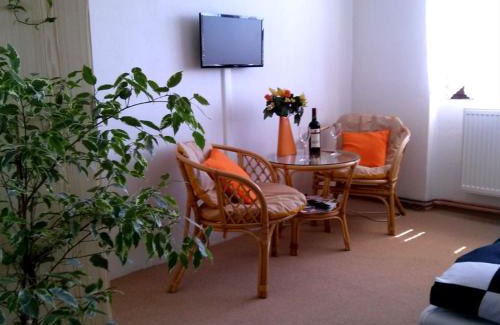 Zdar Nad Sazavou Apartment | Apartmán Žďár