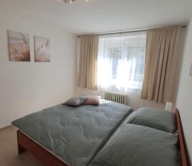 Pardubice Apartment | Apartmán Dukla