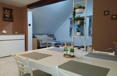 Ceska Kamenice Apartment | Apartmán Frank