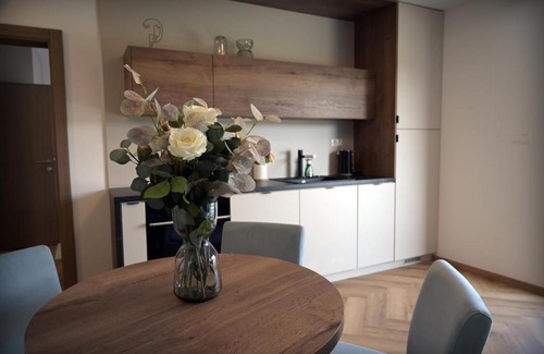 Sajdikove Humence Apartment | Apartmán Golfballs