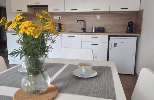 Karlovice Apartment | Apartmán Karlovice - Jeseníky