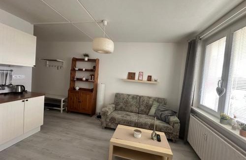 Kovarska Apartment | Apartmán Kovářská u Klínovce