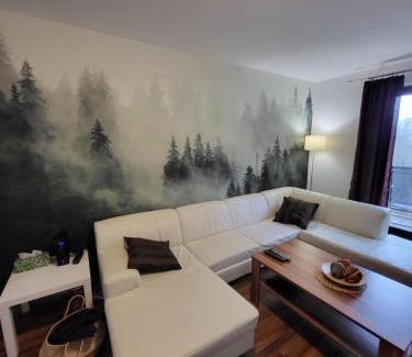 Lipno nad Vltavou Apartment | Apartmán Lipno 50