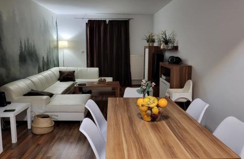 Lipno nad Vltavou Apartment | Apartmán Lipno 50