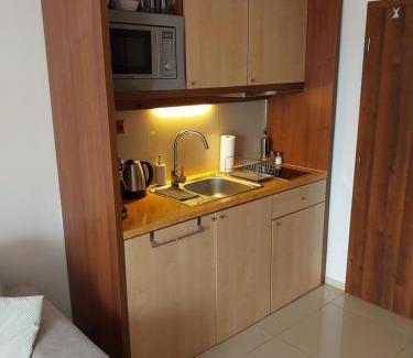 Velka Lomnica Apartment | Apartmán Lomnica Tatragolf I 104