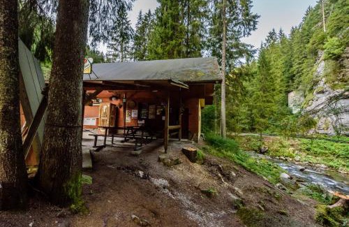 Demanovska Dolina Apartment | Apartmán Milka