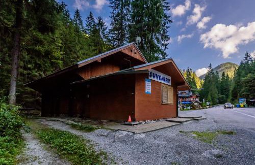 Demanovska Dolina Apartment | Apartmán Milka