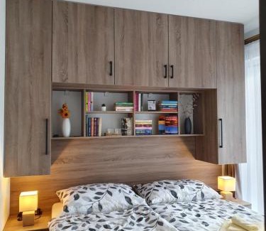 Cerna V Posumavi Apartment | Apartmán Moje Malé Lipno