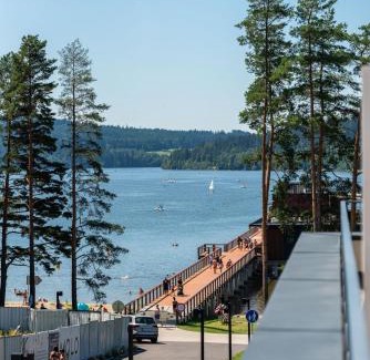 Lipno nad Vltavou Apartment | Apartmán Molo Lipno