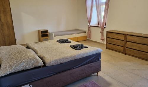 Namest nad Oslavou Apartment | Apartmán na statku 7