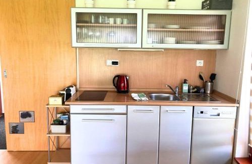 Horni Becva Ski Chalet | Apartmán na Valašsku