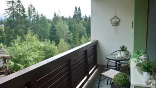 Tatranska Strba Apartment | Apartmán Patris 40