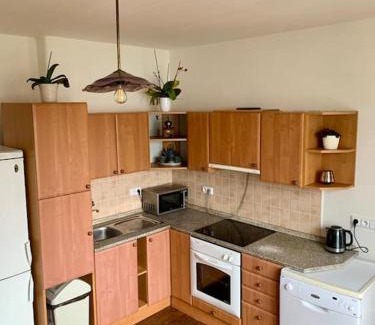 Zdar Nad Sazavou Apartment | Apartmán POD LAMPOU