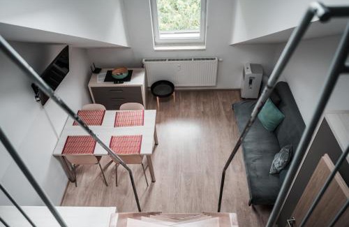 Loucna nad Desnou Apartment | Apartmán Pod Medvědí horou