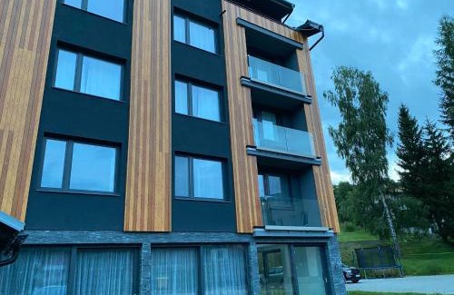 Rokytnice nad Jizerou Apartment | Apartmán ROKY 6