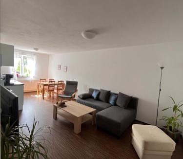 Chodova Plana Apartment | Apartmán Sadová 430