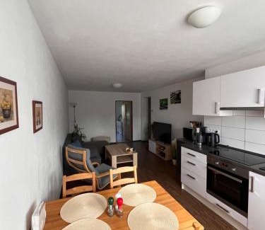 Chodova Plana Apartment | Apartmán Sadová 430