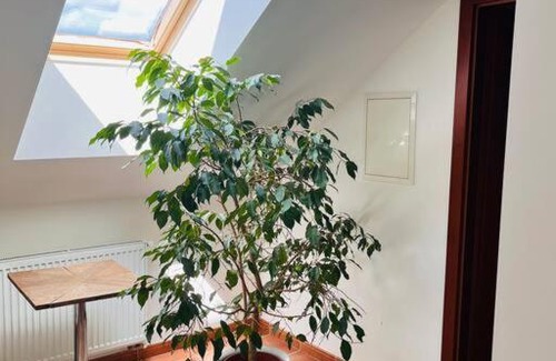 Orech Apartment | Apartmán se zahradou 20 minut do centra Prahy
