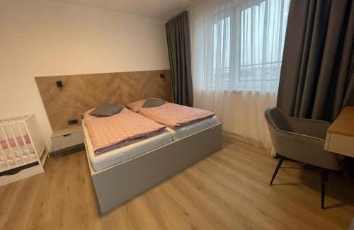 Trencin Apartment | Apartmán