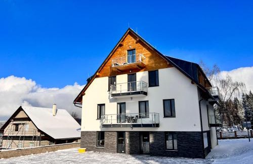 Abertamy Apartment | Apartmán SKI Plešivec